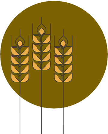 Barley illustration 202-2009