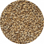 Chevallier Heritage Malt