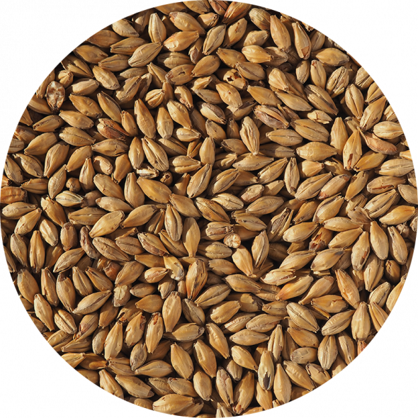 Table Beer Recipe from Crisp Malt British Extra Pale Malt & Dextrin