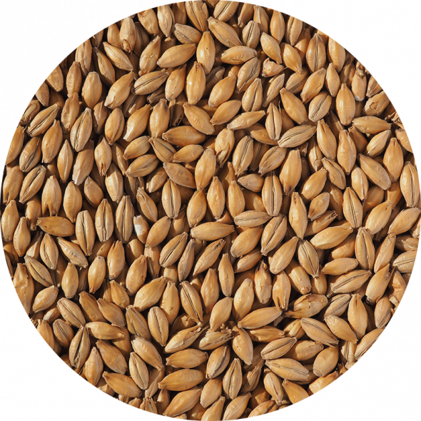 Roasted Malts Crisp British Malts Speciality Malt Plant