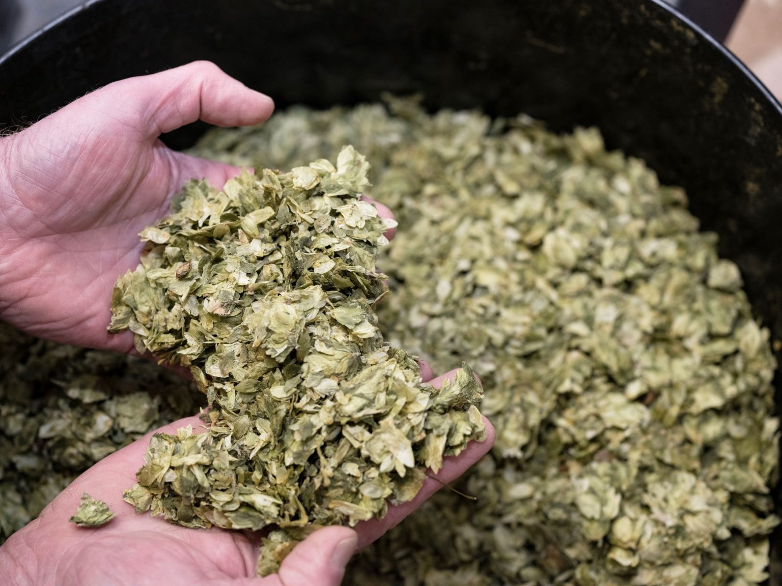 The Crisp Malt Guide To Wort Boiling British Brewing Malt Supplier