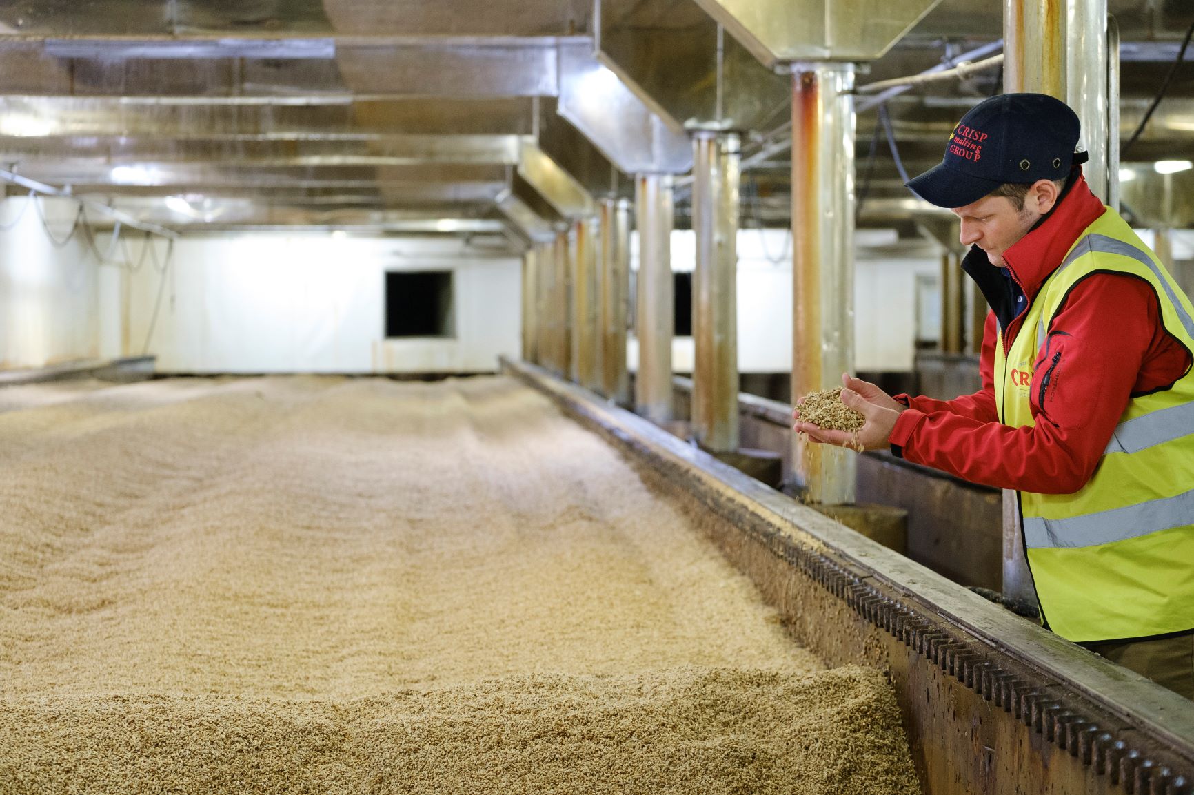 Malting. Malting Company process.