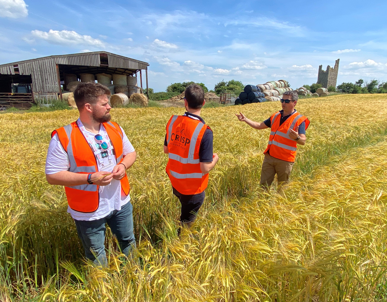 British malting barley field walks | July 2022