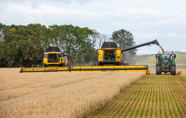 Two combines harvest two row barley in a field in Norfolk, England