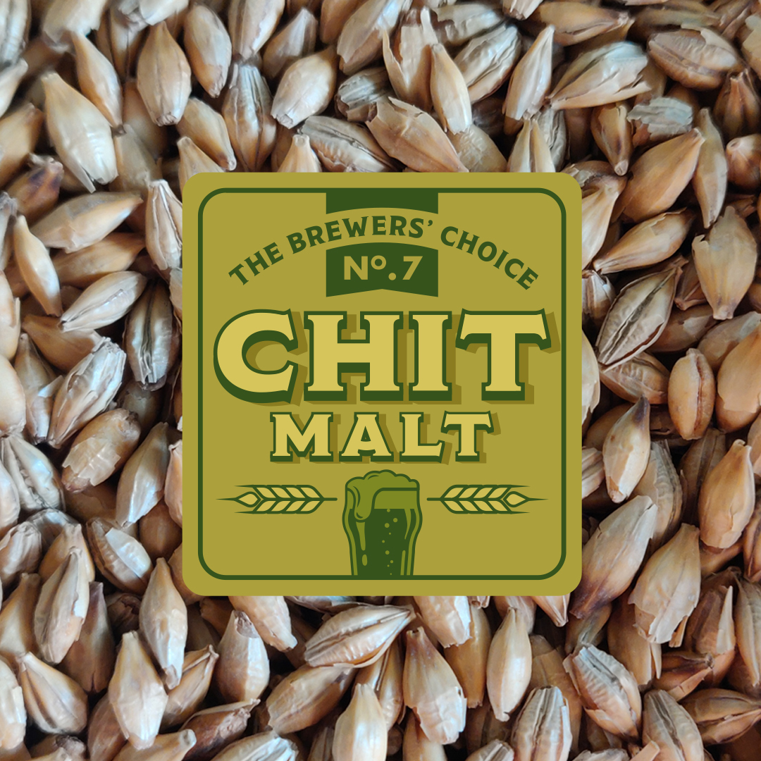 Chit Malt | Focus on This Speciality Brewing Malt | Crisp Malt