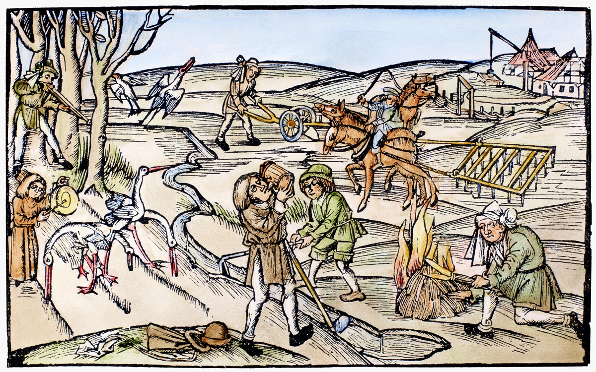 Medieval Country Life Woodcut