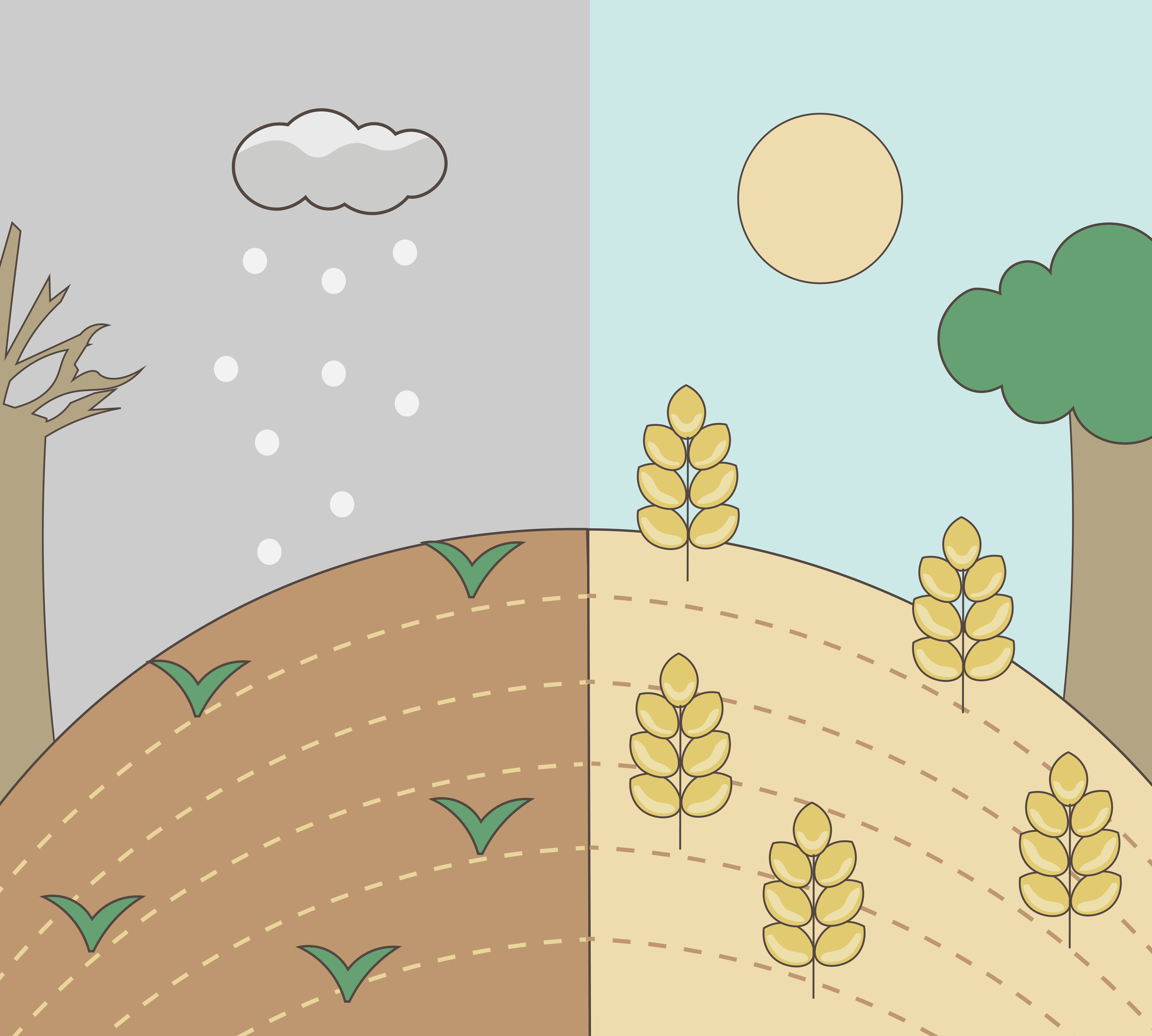 illustration depicting winter and spring barley growing conditions