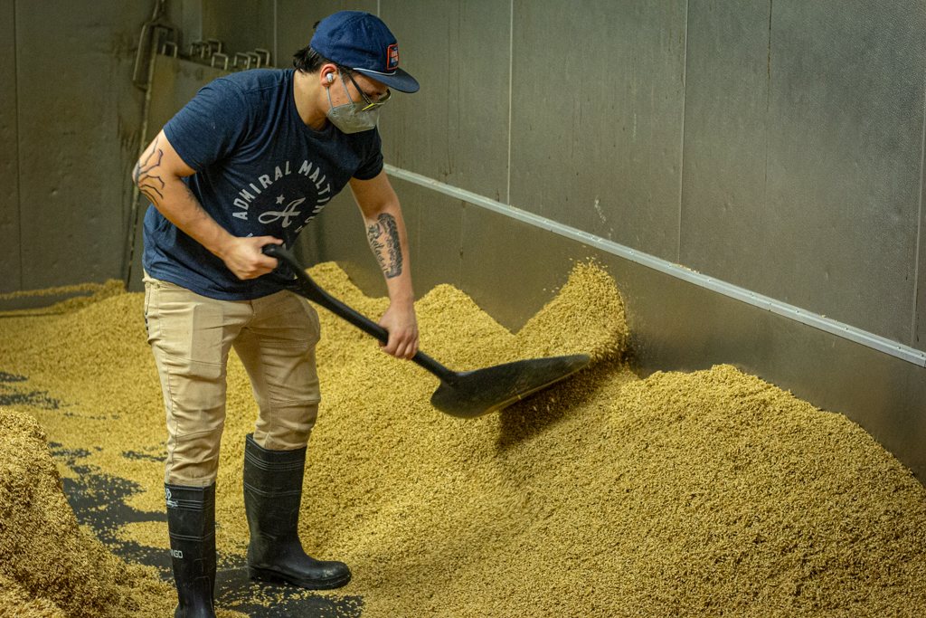 The floor maltings at Admiral Maltings in California - Hana barley is traditional turned by hand